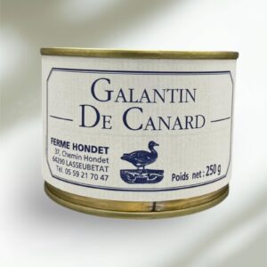 Galantin de canard