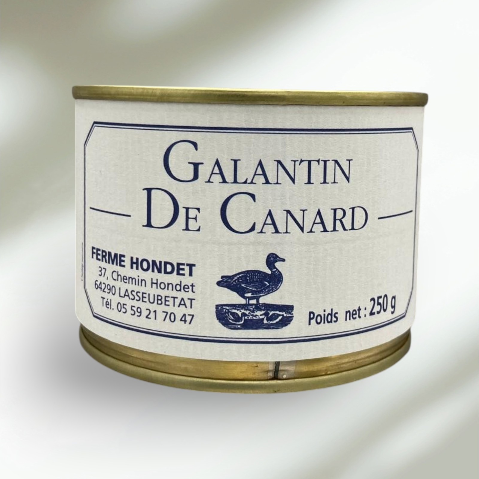 Galantin de canard